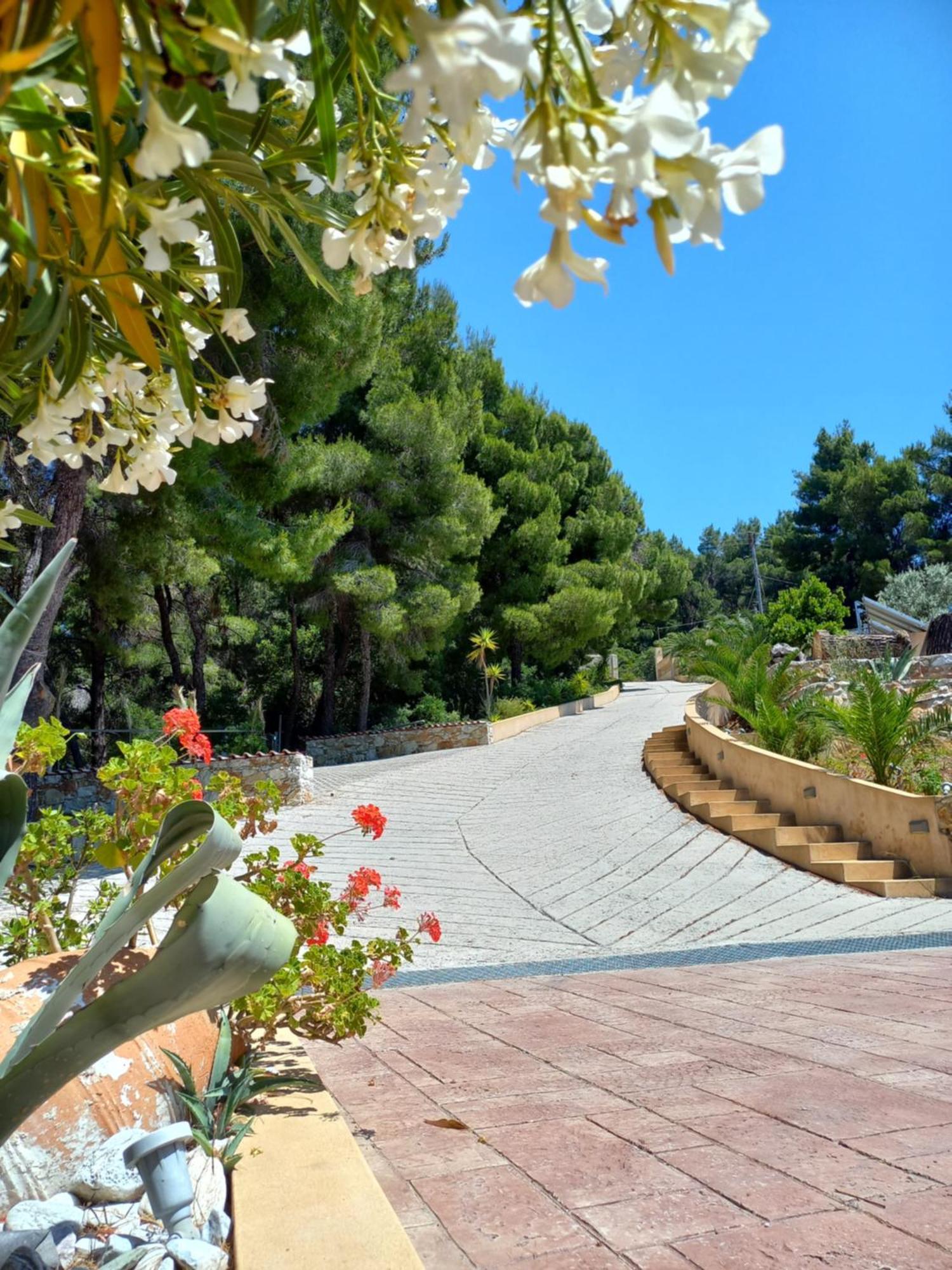 Core Luxury Suites (Adults Only) Skiathos Exterior foto